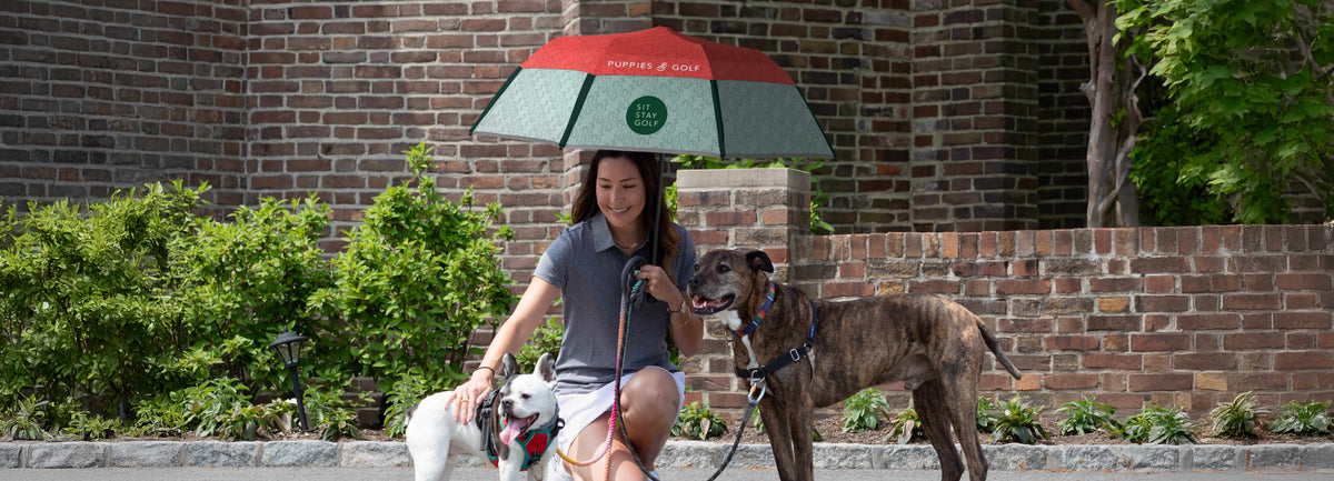 Woman sitting with two dogs, holding a golf umbrella