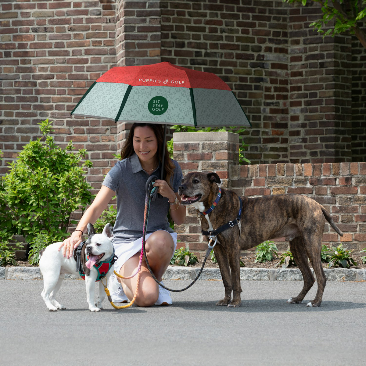 Women walking her two dogs with the Weatherman Collapsible Umbrella in Puppies & Golf design.