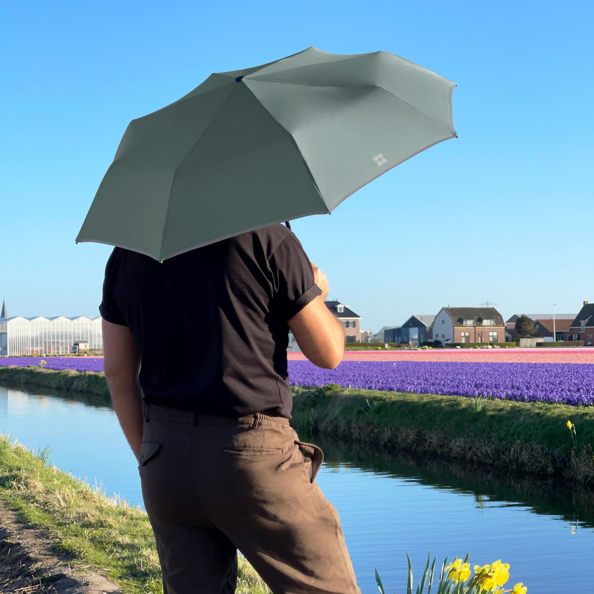 Forecast Duo