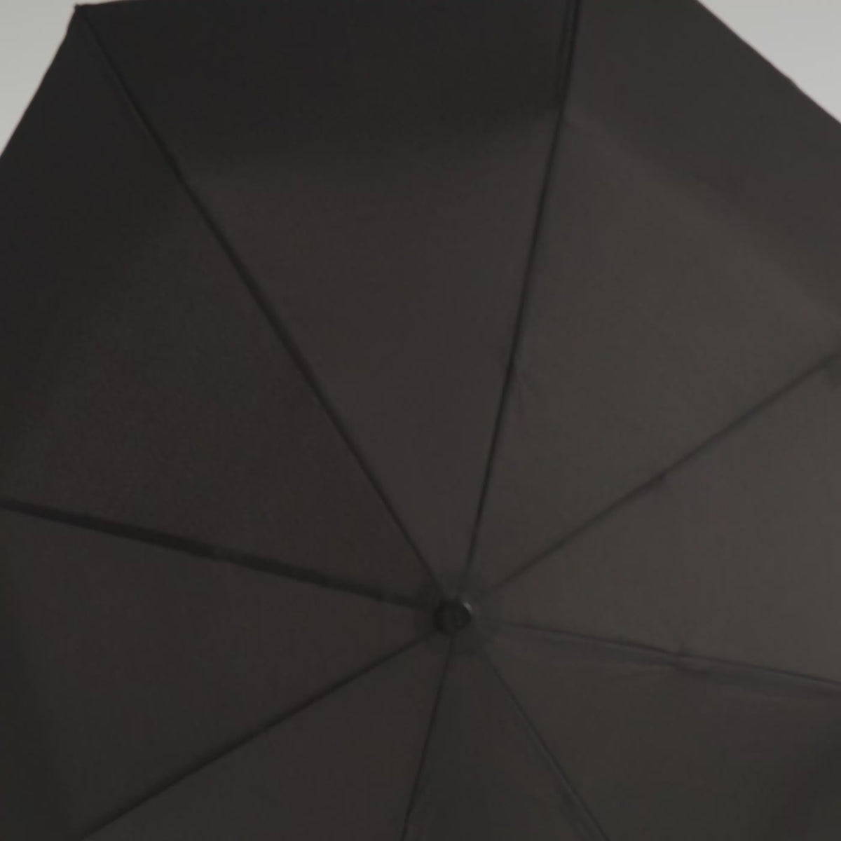 Woman holding Travel Umbrella in black.